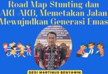 Road Map Stunting dan AKI-AKB, Memetakan Jalan Mewujudkan Generasi Emas