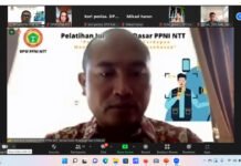 Asah Bakat Menulis Perawat, PPNI NTT Gelar Pelatihan Jurnalistik