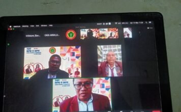 DPW PPNI NTT Beri ToT Pengurus di Zona Ngada dan Lembata, Ketua: Kita Butuh Role Model