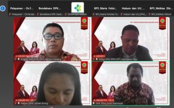 ToT Terintegrasi PPNI NTT Sukses Tingkatkan Kapasitas Pengurus di Tengah Tantangan Organisasi